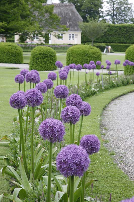 w-DK_9470-Egersdorf-jardin