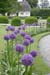 w-DK_9470-Egersdorf-jardin