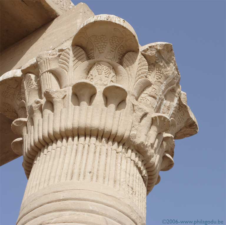 Kalabcha25-colonne-raisins