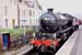 w-scot_7410-Train_Potter